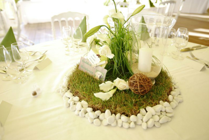 Mariage Chiens 3.jpg